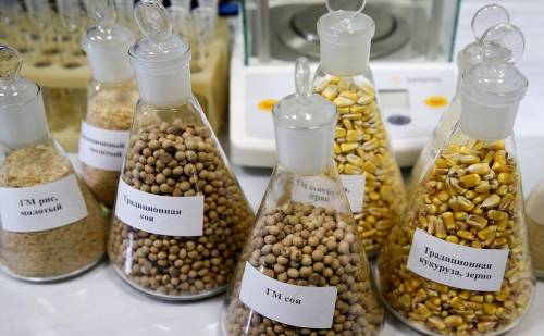 Кабмин определил случаи использования в кормах ГМО без регистрации