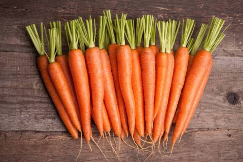 Линия чистки, мойки, калибровки, взвешивания и упаковки моркови